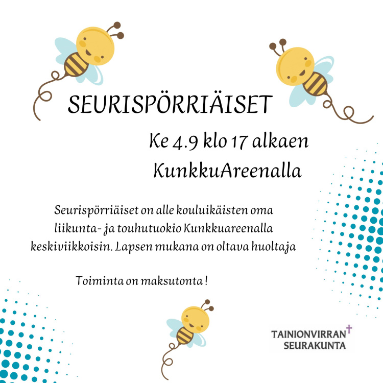 Seurispörriäiset syksy 2024