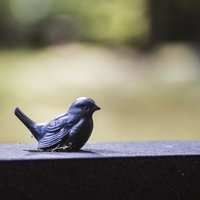 Nuoramoisten hautausmaa Nuoramoisten hautausmaa