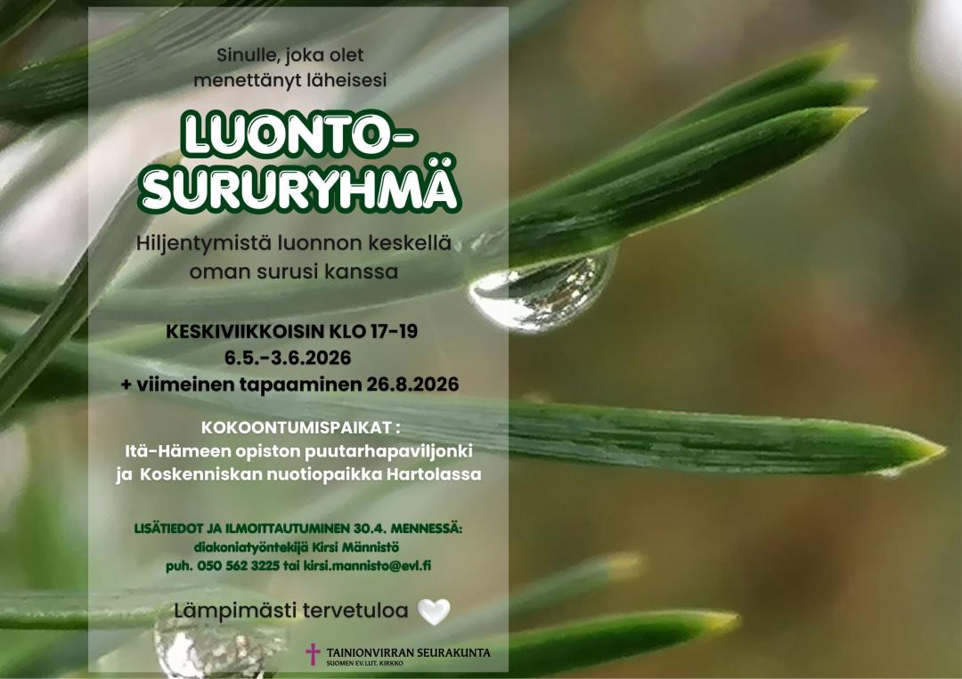 Pisara kuusen oksalla. Teksti sinulle, joka olet menettänyt läheisesi. Luontosururyhmä. 